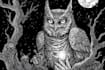 draw black and white illustrations