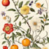 create a beautiful vintage botanical illustration poster