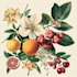 make a botanical watercolor illustration