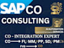 be your sap co consultant
