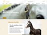 build landing pages with react or next js