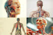 draw exercise, medical and anatomy illustrations