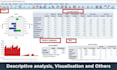 do expert survey data analysis and statistical analysis report using IBM spss
