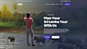 develop responsive wordpress website