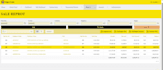 develop and customize oracle apex application