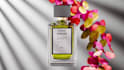 create 3d perfume animation and bottle rendering cgi product ads luxury perfume