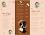 do creative business brochure design