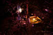 build 3d scenes or dioramas