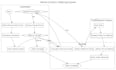 provide coding help and uml diagrams in java c and cpp