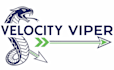 design high quality python, coding, snake logo