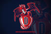 design high quality mascot dragon logo