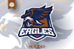 make mascot bird eagle logo within 24 hours