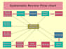 conduct a systematic review and meta analysis