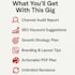 do a professional youtube channel audit and SEO optimization