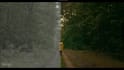 do professional video color grading and color correction