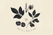 create a botanical boho logo design
