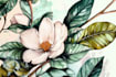 paint watercolour botanical illustrations