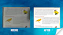 do professional document scanning and text copy