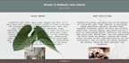design and develop a custom responsive SEO friendly website