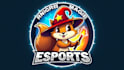 do outstanding squirrel mage logo with express delivery