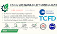 create esg reports and provide sustainability consulting