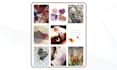 manage your instagram profile
