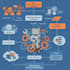 automate any business process using sap bpa