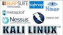 do kali and ubuntu labs for pen testing and cybersecurity