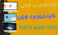 gather the data you need from any website