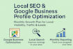 provide full monthly local SEO services with gbp optimization