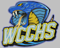 digitize image for embroidery logo in dst pes pxf asap