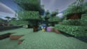 fast  reliable minecraft item collection service