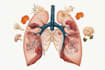 create 2d medical anatomy illustrations and animations