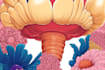 design scientific illustrations and medical figures