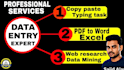 do excel data entry, web research, data cleaning and PDF to excel