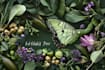 illustrate animal or botanical linocut based on your request