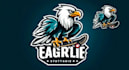 create high quality and beautiful eagle logo design