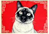 draw a pet portrait using linocut technique