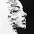 draw black and white ink and pencil illustration