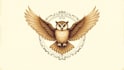 design unique owl fly logo within new concepts