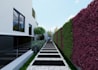 do a backyard landscape design