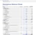 prepare financial statements , reporting