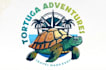 make an awesome animals and turtle logo design