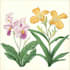 create a botanical llustration