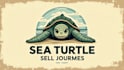 design modern sea turtle logo with unique new concepts