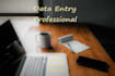 do data entry and excel from home