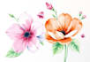 paint watercolor flowers and botanical illustrations