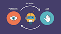 create and deploy ai agents langchain autogen crewai