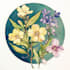 draw botanical illustration art for you