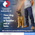 copywrite your facebook and instagram post to increase sales
